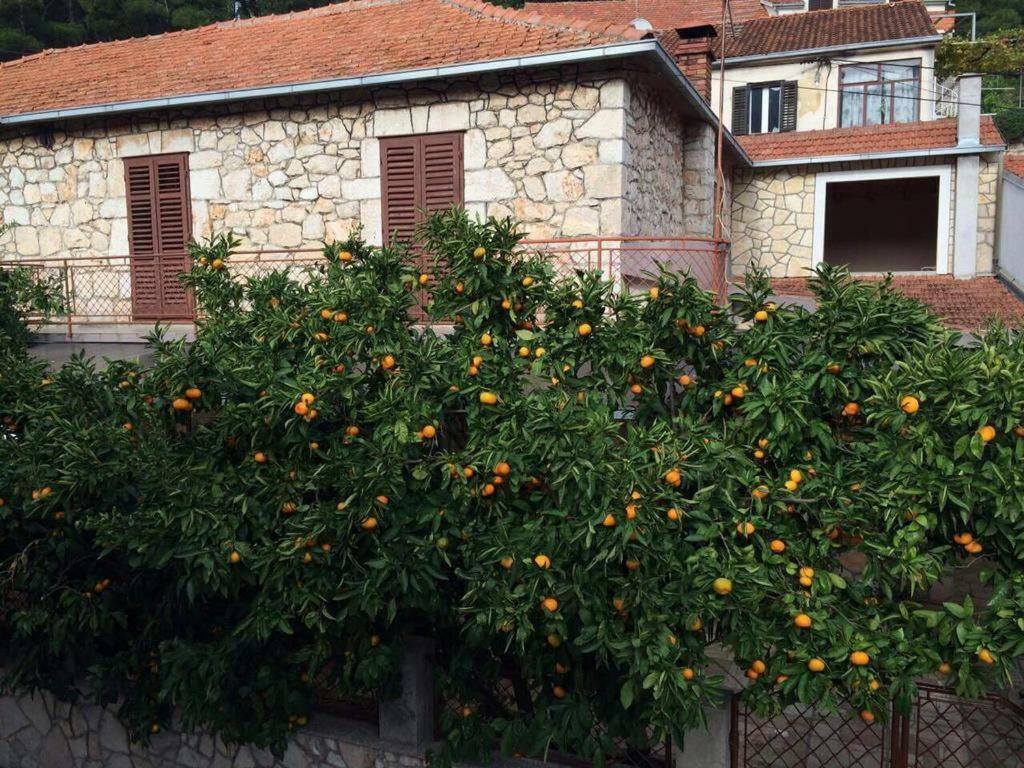 Holiday House With A Parking Space Svirce, Hvar - 17682 Vrbanj エクステリア 写真